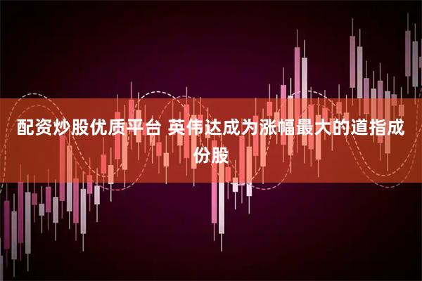 配资炒股优质平台 英伟达成为涨幅最大的道指成份股